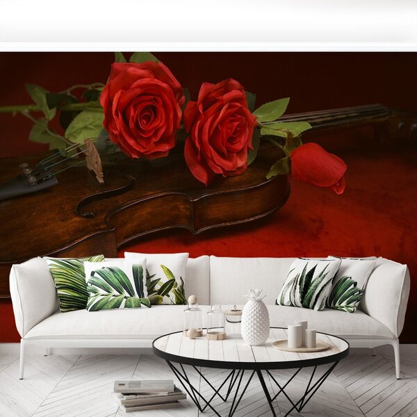 Fototapet Vioara Roses