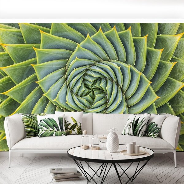 Fototapet Aloe Simetria
