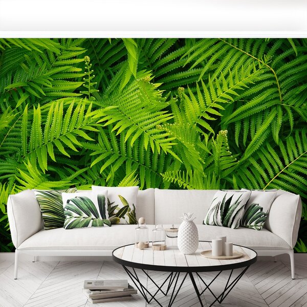 Fototapet Green Fern