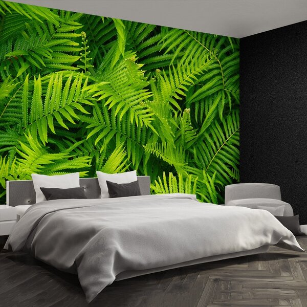 Fototapet Green Fern