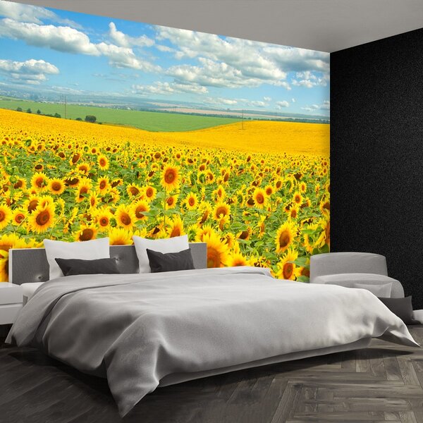 Fototapet Domeniu de Sunflowers
