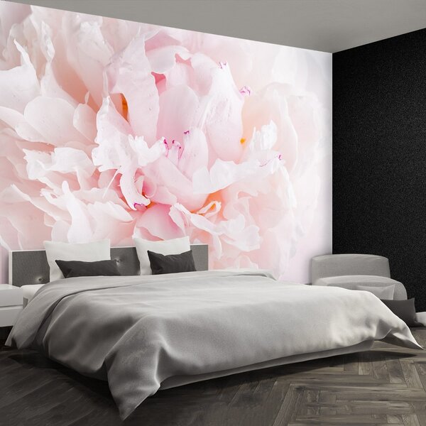 Fototapet roz Peony