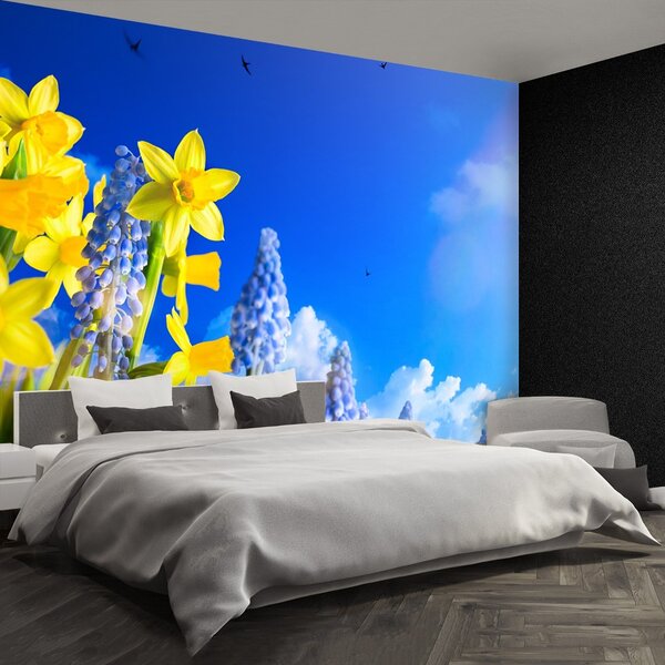 Fototapet Albastru Daffodil