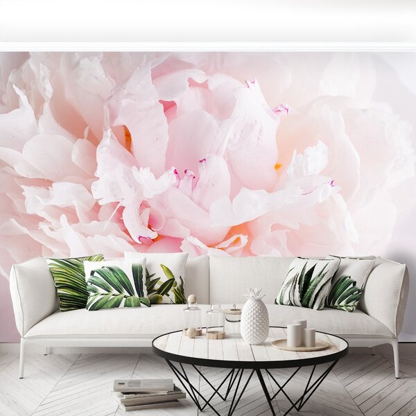 Fototapet roz Peony
