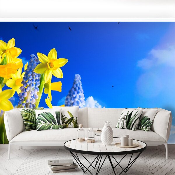 Fototapet Albastru Daffodil