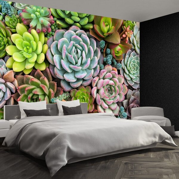 Fototapet Plante Rock Garden