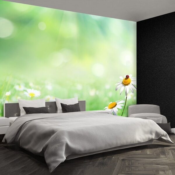 Fototapet Green muşeţel