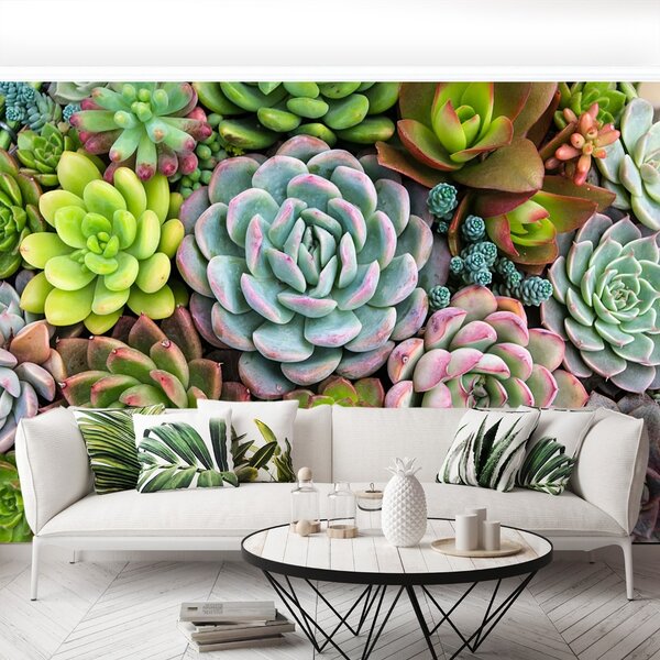 Fototapet Plante Rock Garden