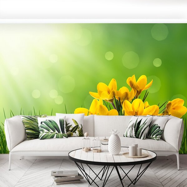 Fototapet Crocuses Green