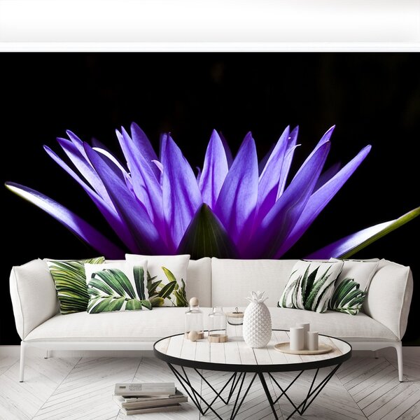Fototapet Purple Lotus