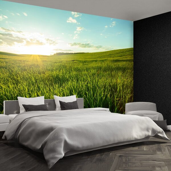 Fototapet Green Meadow