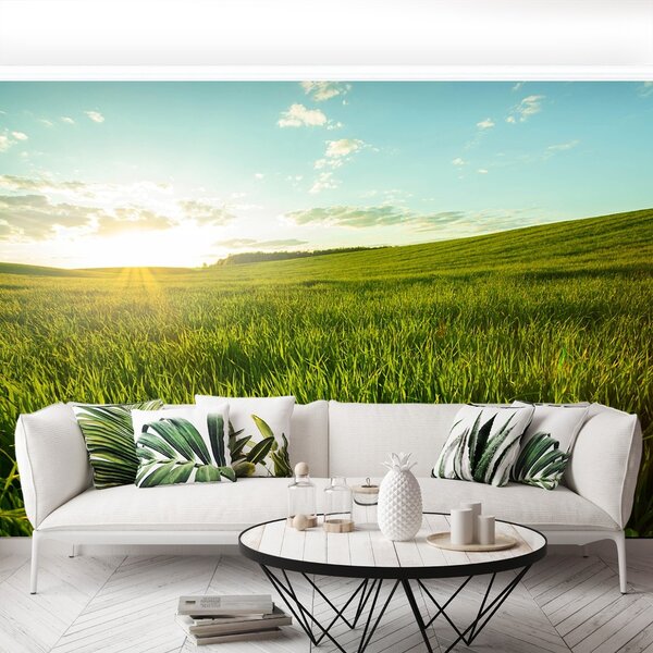 Fototapet Green Meadow