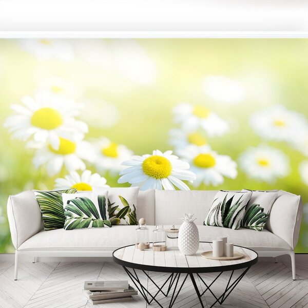 Fototapet Margarete Meadow