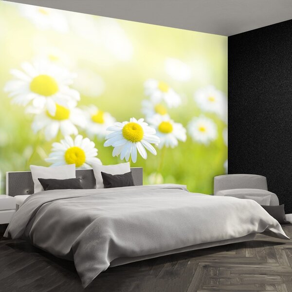Fototapet Margarete Meadow