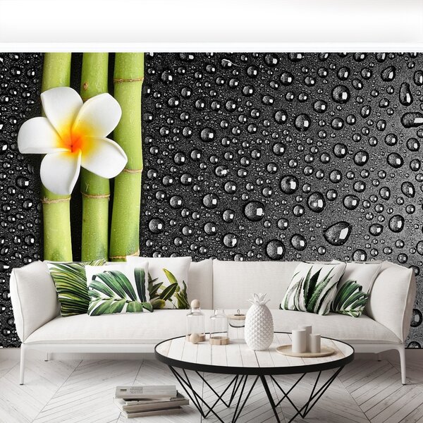Fototapet frangipani flori