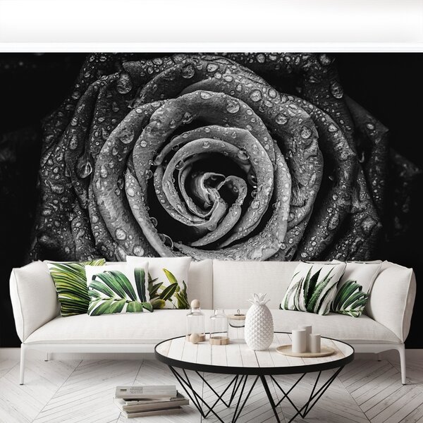 Fototapet Rose negru