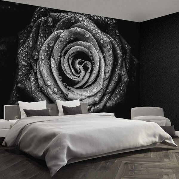 Fototapet Rose negru