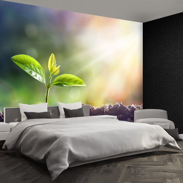 Fototapet Green Sprout