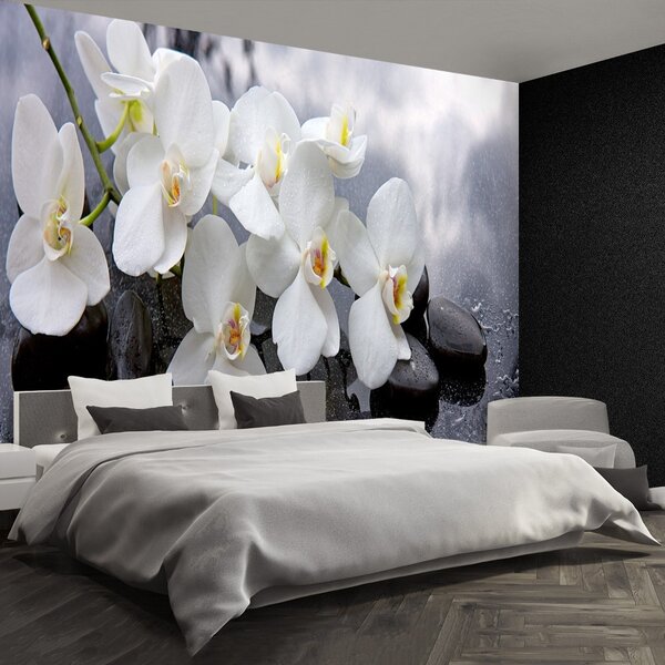 Fototapet Orchid Stones