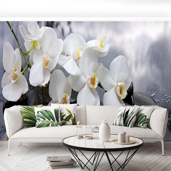 Fototapet Orchid Stones