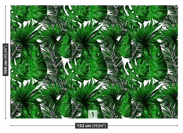 Fototapet Frunze tropicale