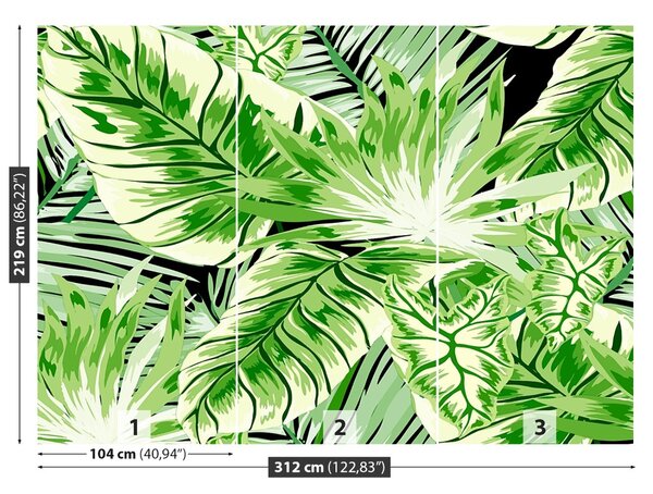 Fototapet Monster Palm