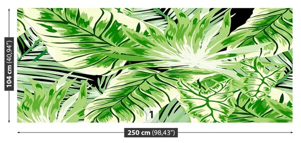 Fototapet Monster Palm