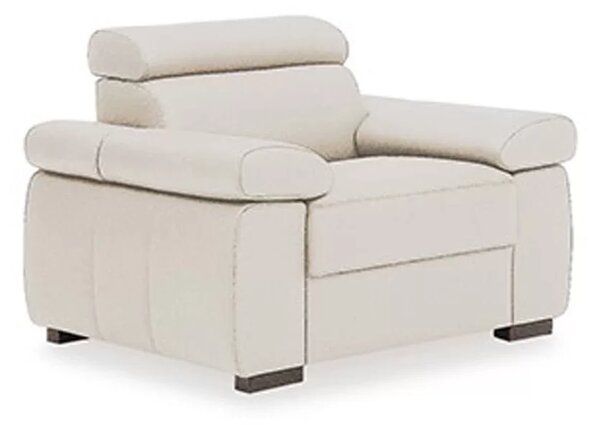 Fotoliu cu recliner Zoom