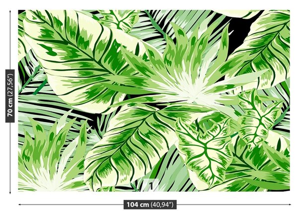 Fototapet Monster Palm