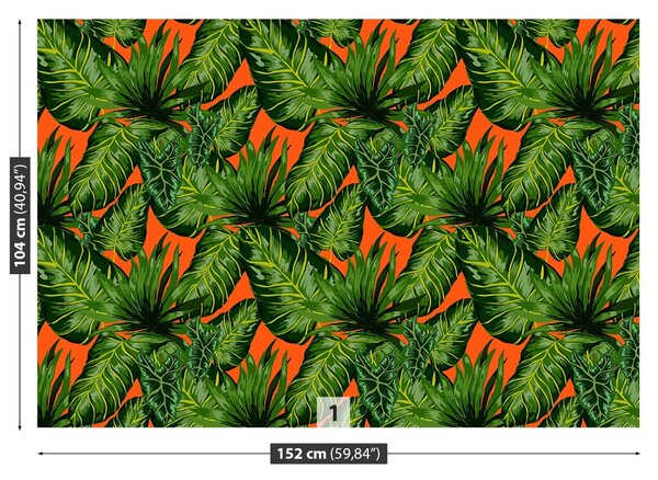 Fototapet Frunze tropicale