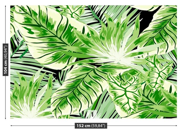 Fototapet Monster Palm