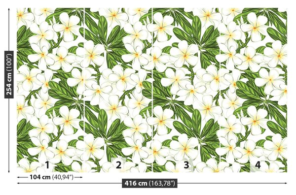 Fototapet plumeria Flori
