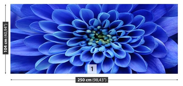 Fototapet floare albastră