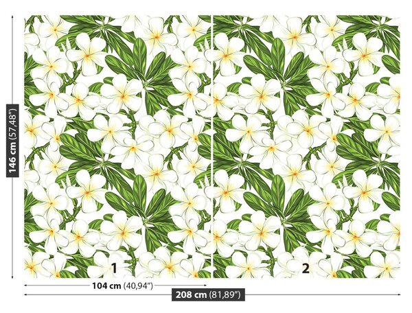 Fototapet plumeria Flori