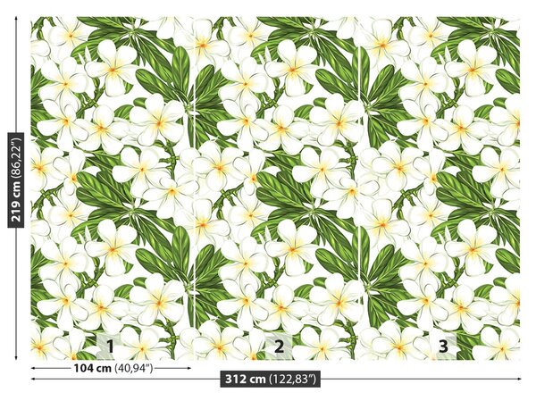 Fototapet plumeria Flori