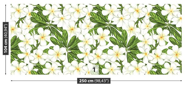 Fototapet plumeria Flori