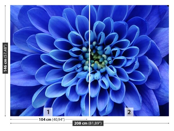 Fototapet floare albastră