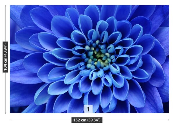 Fototapet floare albastră