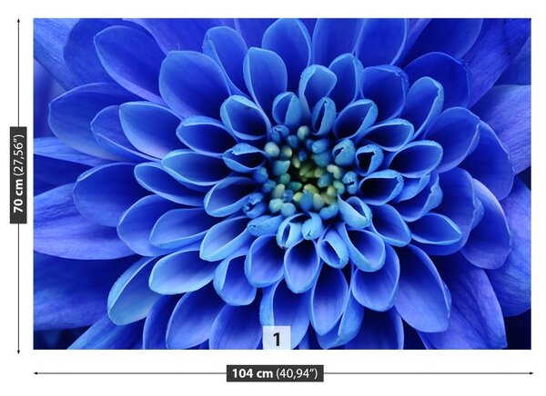 Fototapet floare albastră