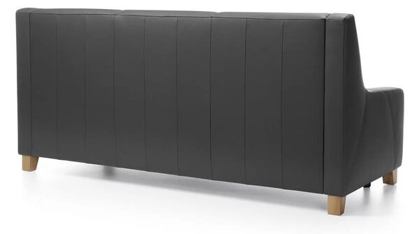 Canapea extensibila de piele Way 3