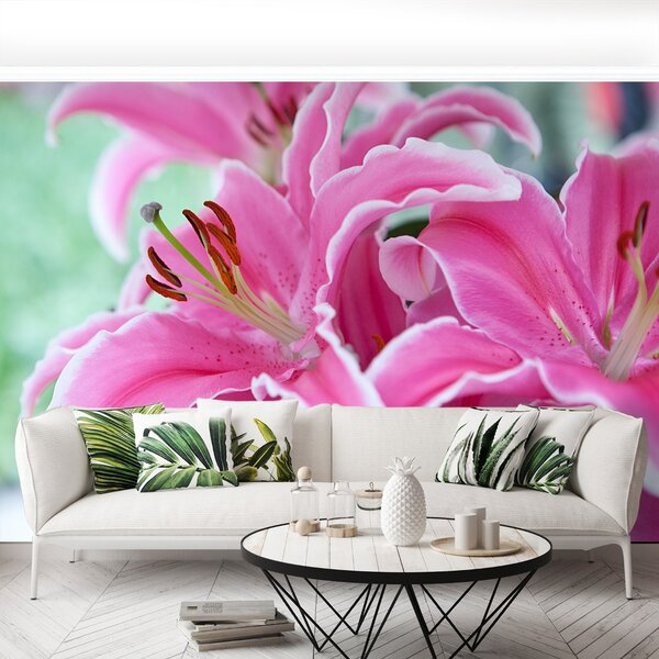 Fototapet Pink Lily