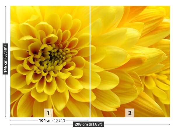 Fototapet Floare galbenă