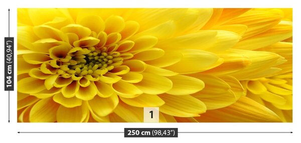 Fototapet Floare galbenă