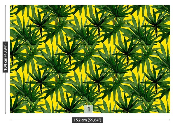 Fototapet Frunze tropicale