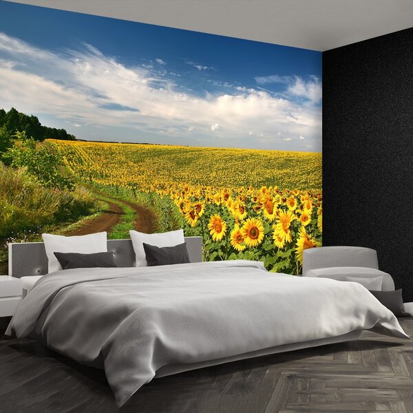 Fototapet Domeniu de Sunflowers