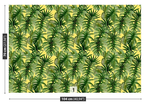 Fototapet Monster Palm