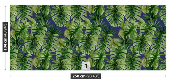 Fototapet tropical Monstera
