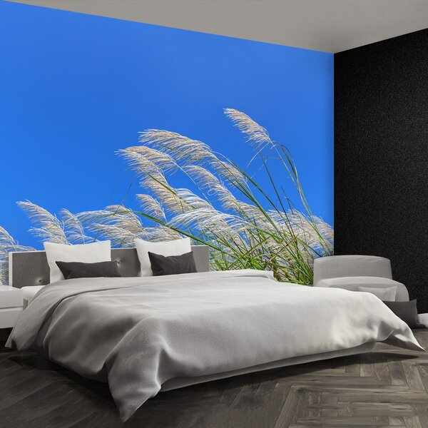 Fototapet Albastru Grass