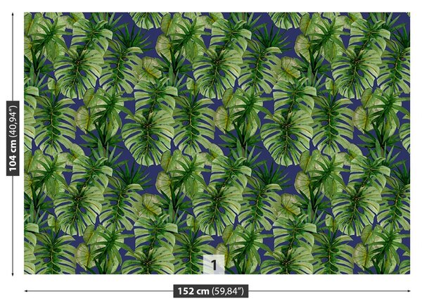 Fototapet tropical Monstera