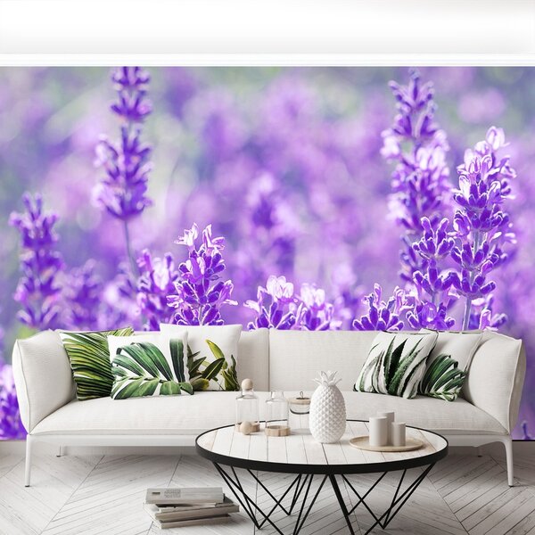Fototapet Lavandă Purple